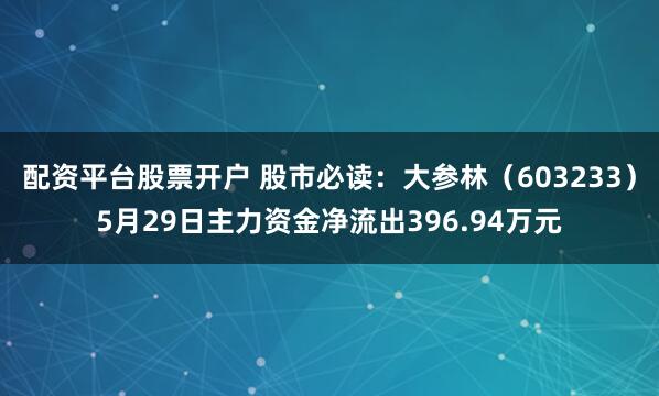 配资平台股票开户 股市必读：大参林（603233）5月29日主力资金净流出396.94万元