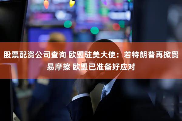 股票配资公司查询 欧盟驻美大使：若特朗普再掀贸易摩擦 欧盟已准备好应对