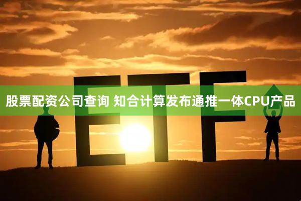 股票配资公司查询 知合计算发布通推一体CPU产品