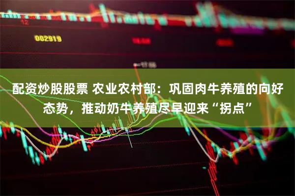 配资炒股股票 农业农村部：巩固肉牛养殖的向好态势，推动奶牛养殖尽早迎来“拐点”