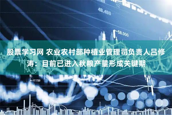 股票学习网 农业农村部种植业管理司负责人吕修涛：目前已进入秋粮产量形成关键期